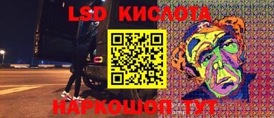 гидропоника Гусев