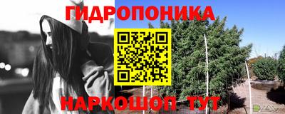 дурь Гусиноозёрск