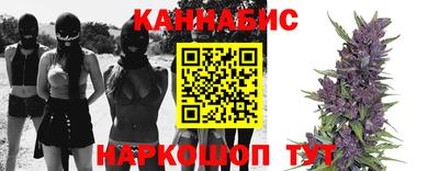 гидропоника Гусев