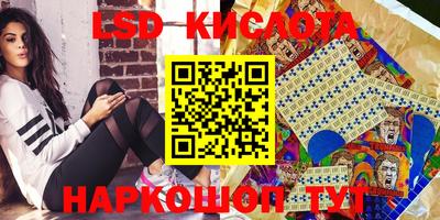 гидропоника Гусев