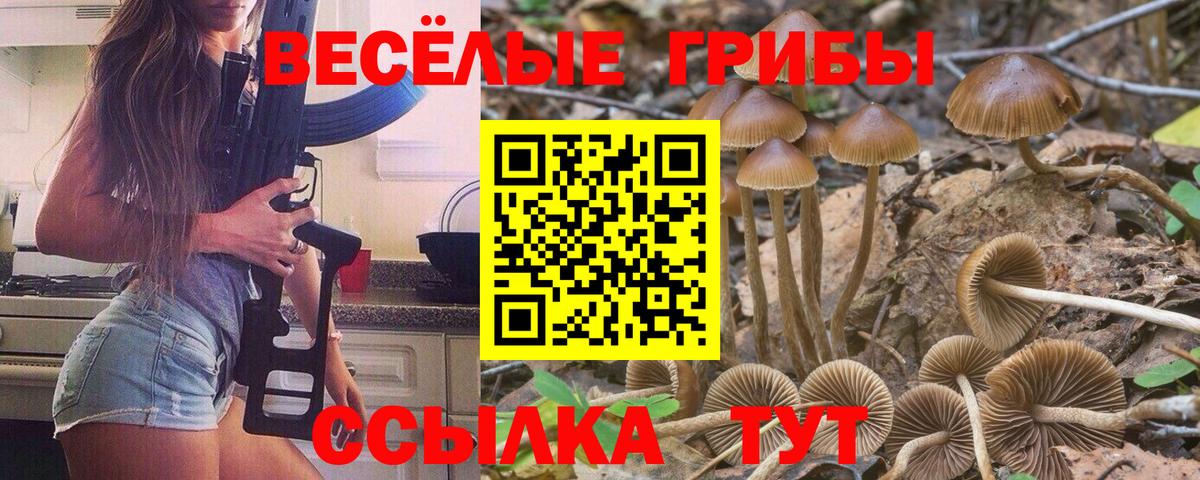 Галлюциногенные грибы GOLDEN TEACHER  Вход с VPN  Галлюциногенные грибы Cubensis  Можайск 